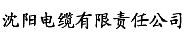 久久精品国产欧美日韩电缆厂logo